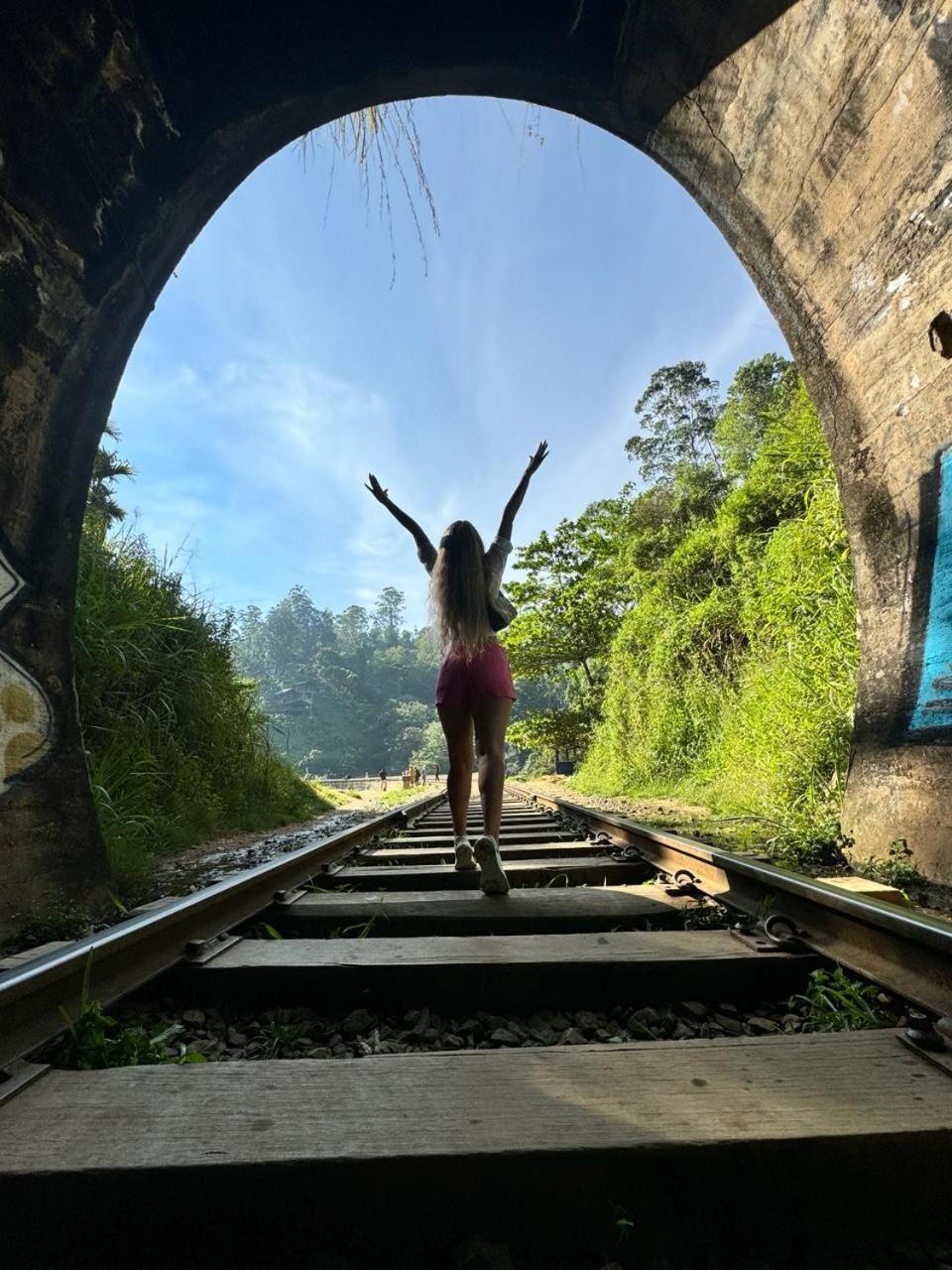 Nine Arch Araliya Homestay Ella Luaran gambar